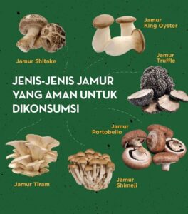 Jenis-jenis jamur